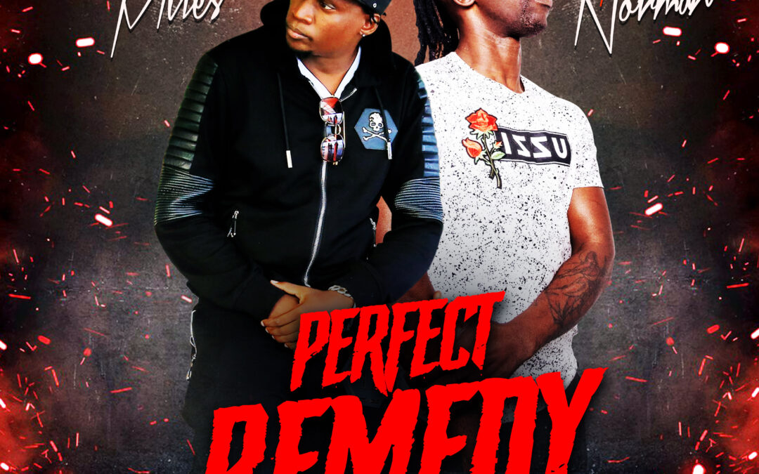 Mc Norman x Peter Miles – Perfect Remedy