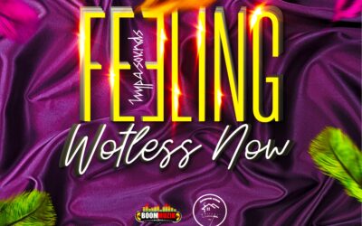 Hypasounds – Feeling Wotless Now