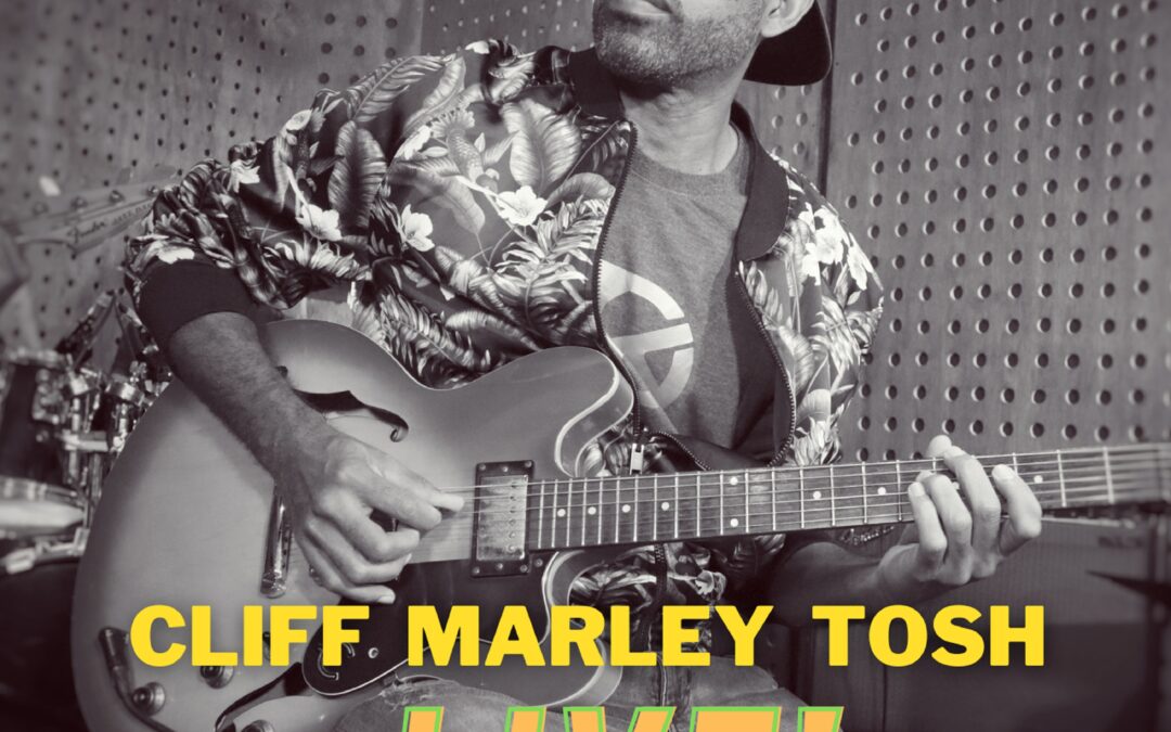 Robert “Dubwise” Browne – Cliff Marley Tosh Live! EP