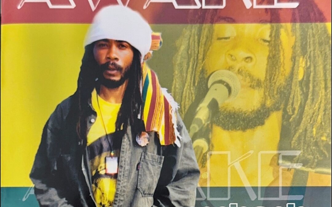 Meshach – Awake