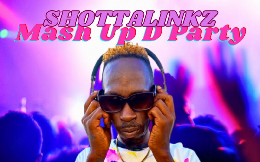 Shottalinkz – Mash Up D Party