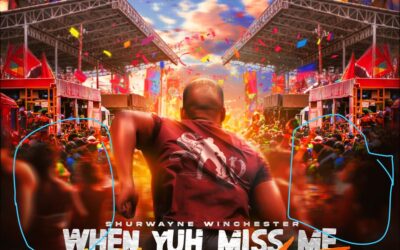 Shurwayne Winchester – When Yuh Miss Me