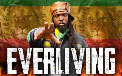 MediSun – Everliving