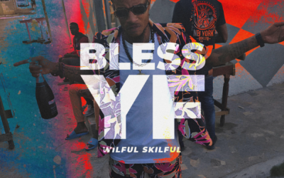 Bless YF – Wilful Skilful